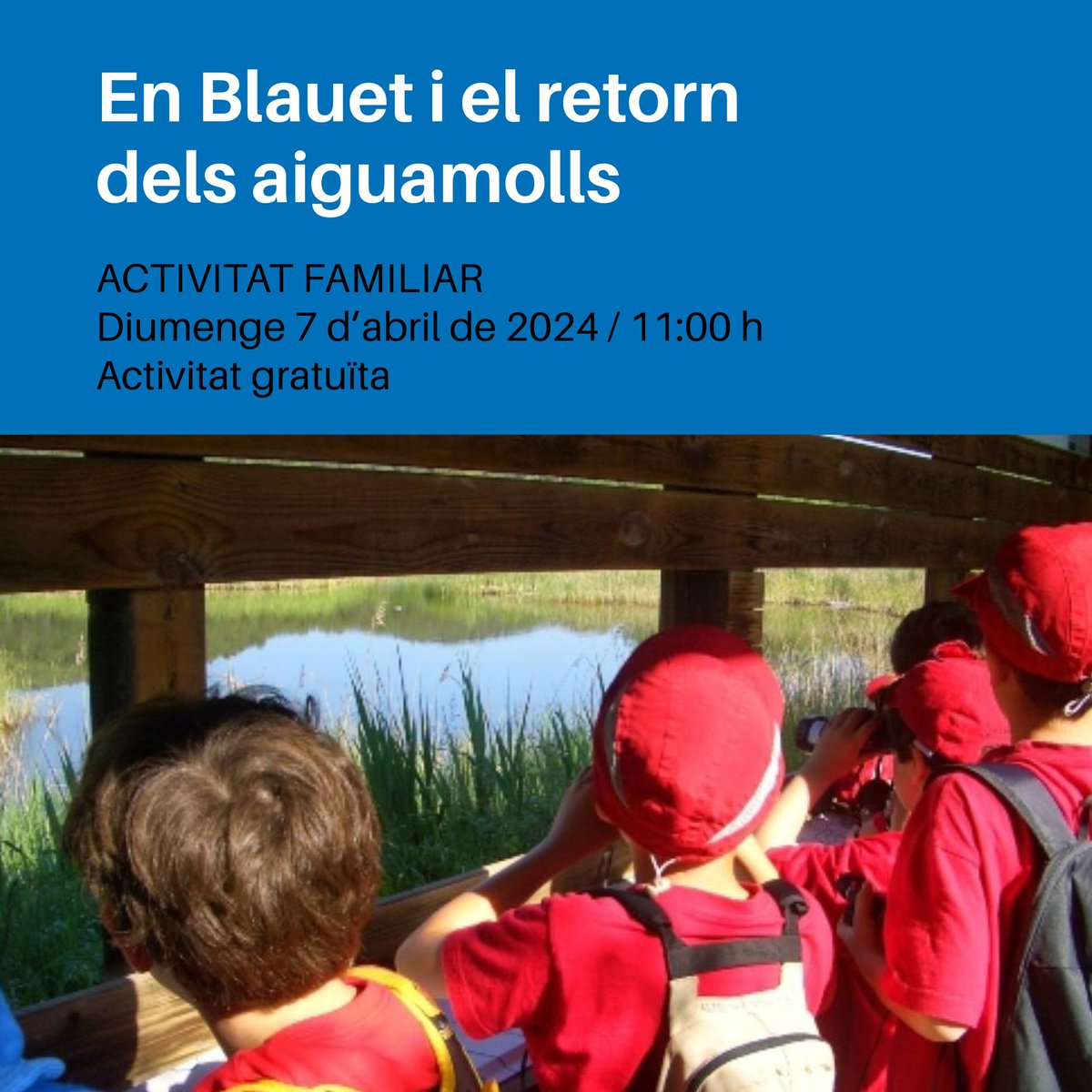 📇 AGENDA D'ACTIVITATS 👉 Per aquest cap de setmana, destaquem visites guiades i activitats familiars! ℹ️ Més informació i reserves a de.banyoles.cat #debanyoles #turismebanyoles #turisme #activitatsfamiliars #activitatsambnens