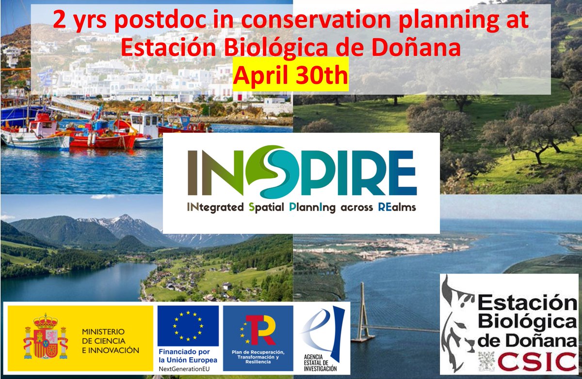 JOB ALERT! I´m looking for a 2 yrs postdoc to join INSPIRE a @BiodiversaPlus project on spatial planning for biodiversity conservation in the EU (biodiversa.eu/2023/04/19/ins…) @ebdonana in Seville. Deadline April 30th DM for more detail