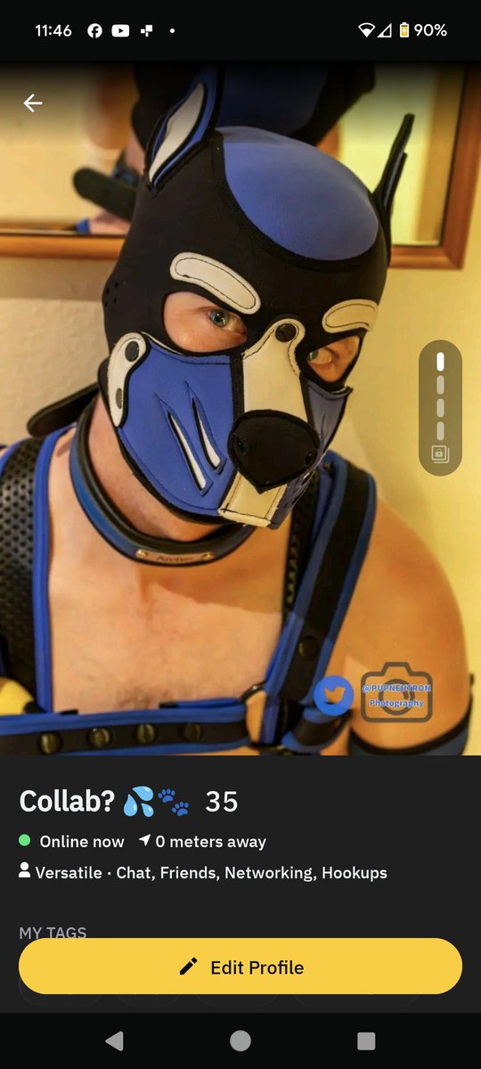 Archerpup 🔜 Happy Pups Unleashed tweet media