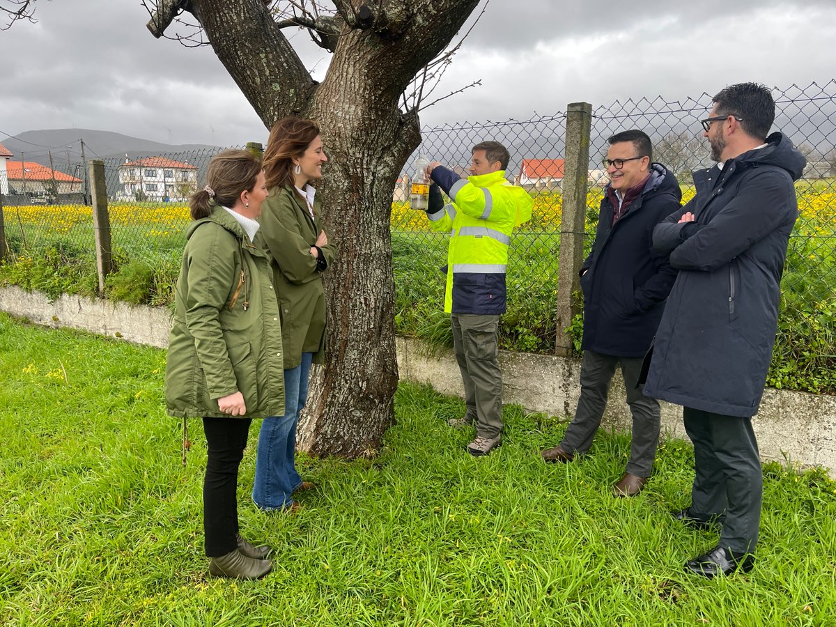 Porto do Son é un dos concellos nos que se está a levar a cabo a instalación de trampas para combater a presenza da avespa velutina. Este labor enmárcase dentro das novas medidas para frear a expansión desta especie invasora de xeito planificado e coordinado en toda Galicia