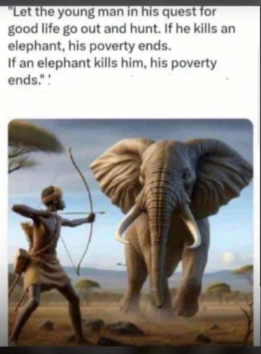 ClaireZviko's tweet image. 