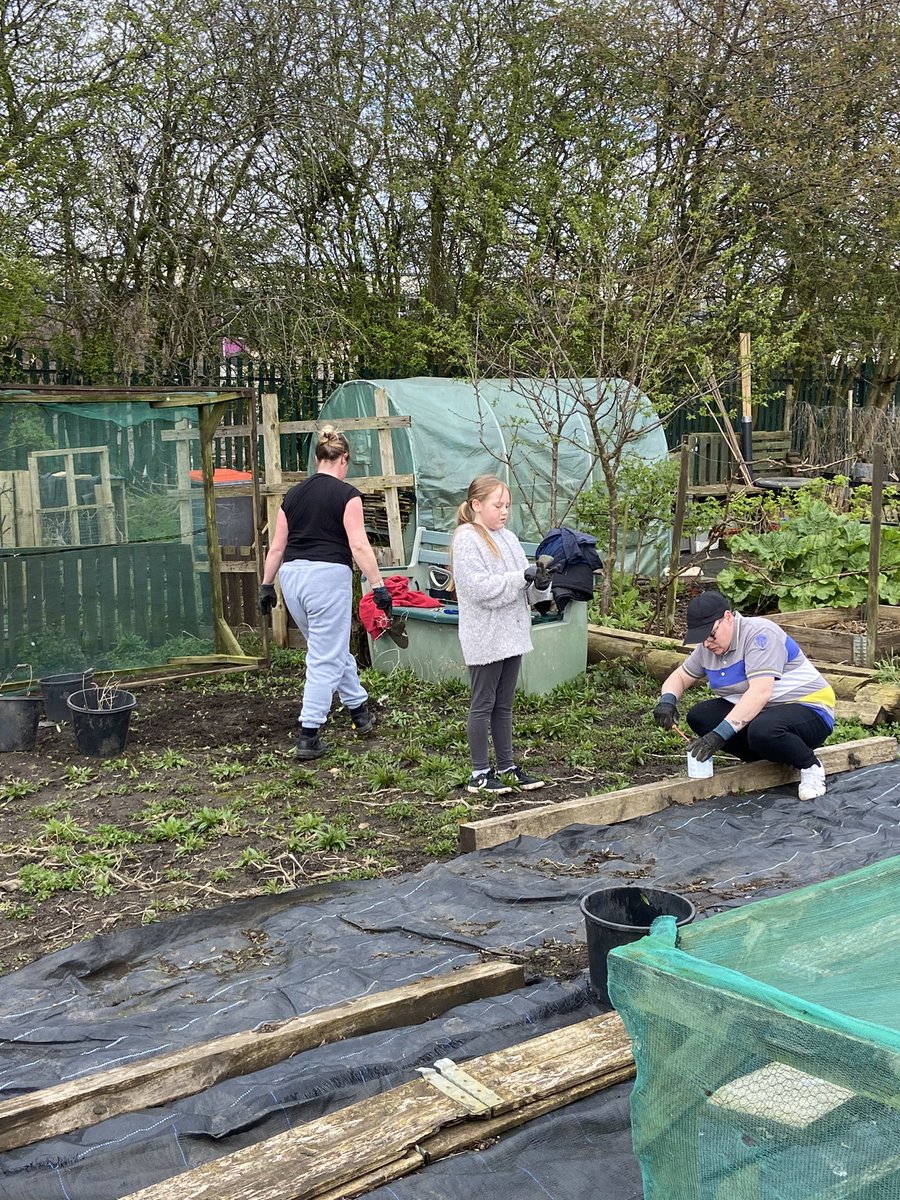 Better Action For Families tweet media