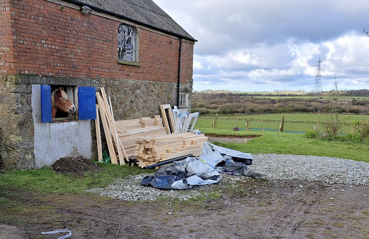 The materials for my new workshop have been delivered! Mary (the pony) was disappointed none of it is edible.