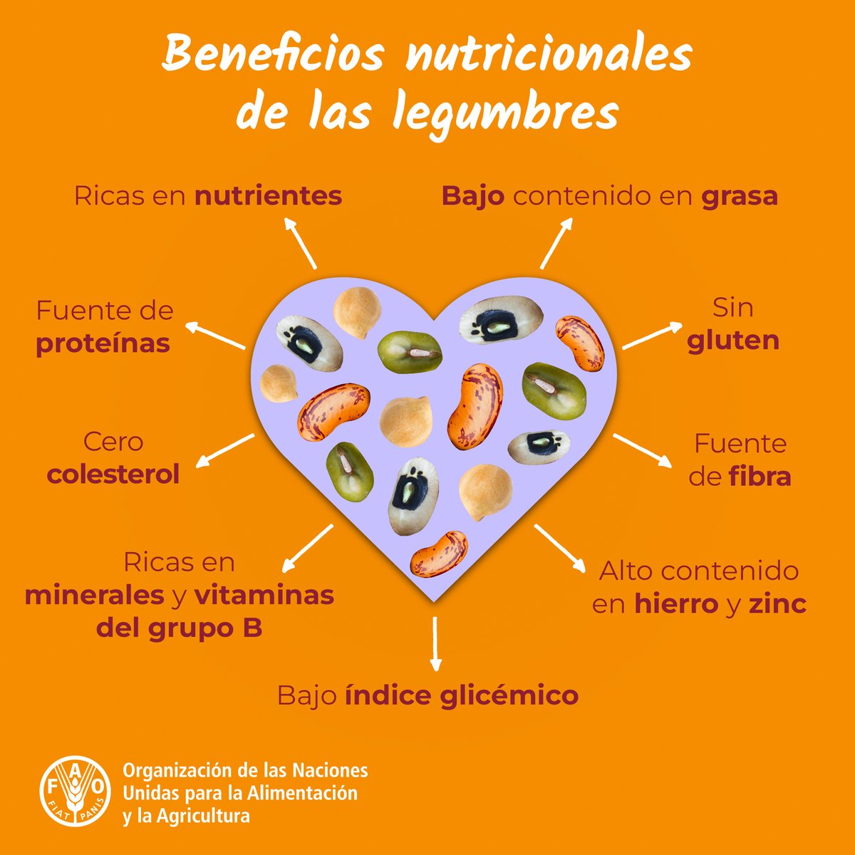 😋Las legumbres son nuestras deliciosas aliadas para lograr un mundo con seguridad alimentaria y una mejor nutrición.