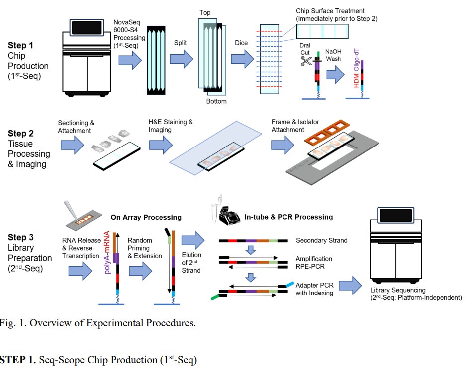Seq-Scope Protocol: Repurposing Illumina Sequencing Flow Cells for High-Resolution Spatial Transcriptomics 'a detailed step-by-step protocol to implement Seq-Scope with an Illumina NovaSeq 6000 sequencing flow' biorxiv.org/content/10.110…