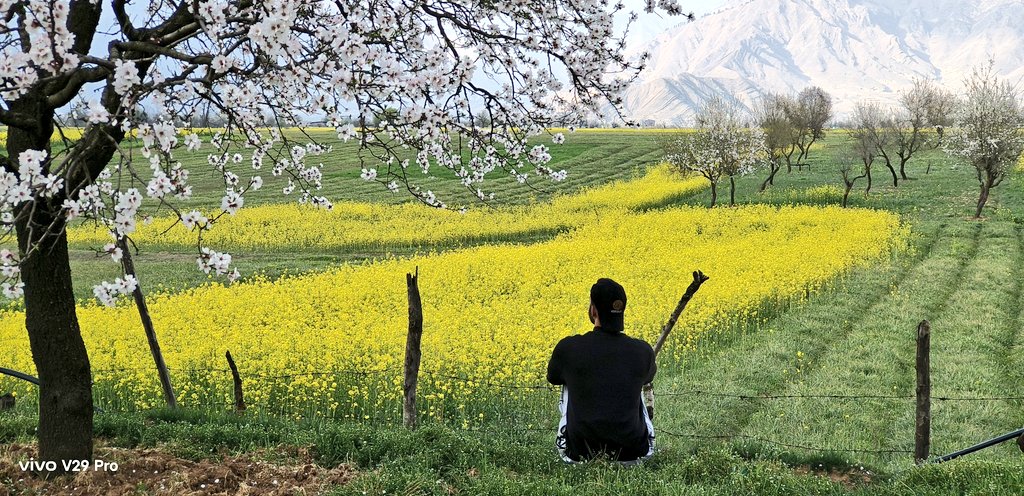 furqaan_farooq's tweet photo. spring ' 24 

shots  - #vivo https://t.co/QAvaveKKsE