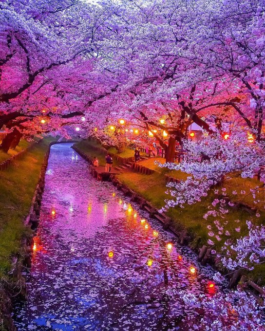 This is not just Japan's beauty; it is the lost utopia of the entire world. #Japan