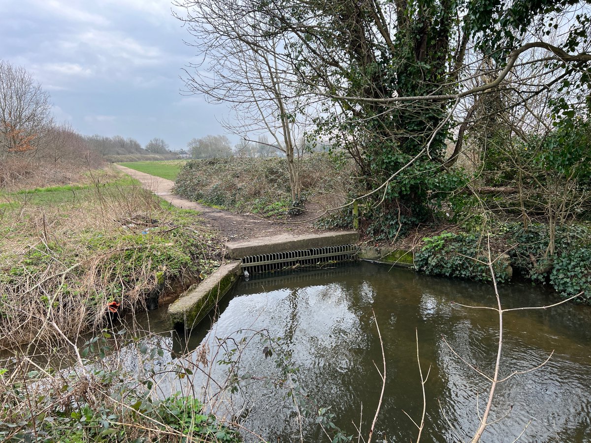 #virtualtour of the Crane Valley: the point where the Longford River enters a covered culvert at Hanworth Park @LBofHounslow, March 2024. The covered culvert is a remnant of the park's former use as an airfield. @FriendsRivCrane @habsandheritage @ZSLMarine @ThamesLandscape