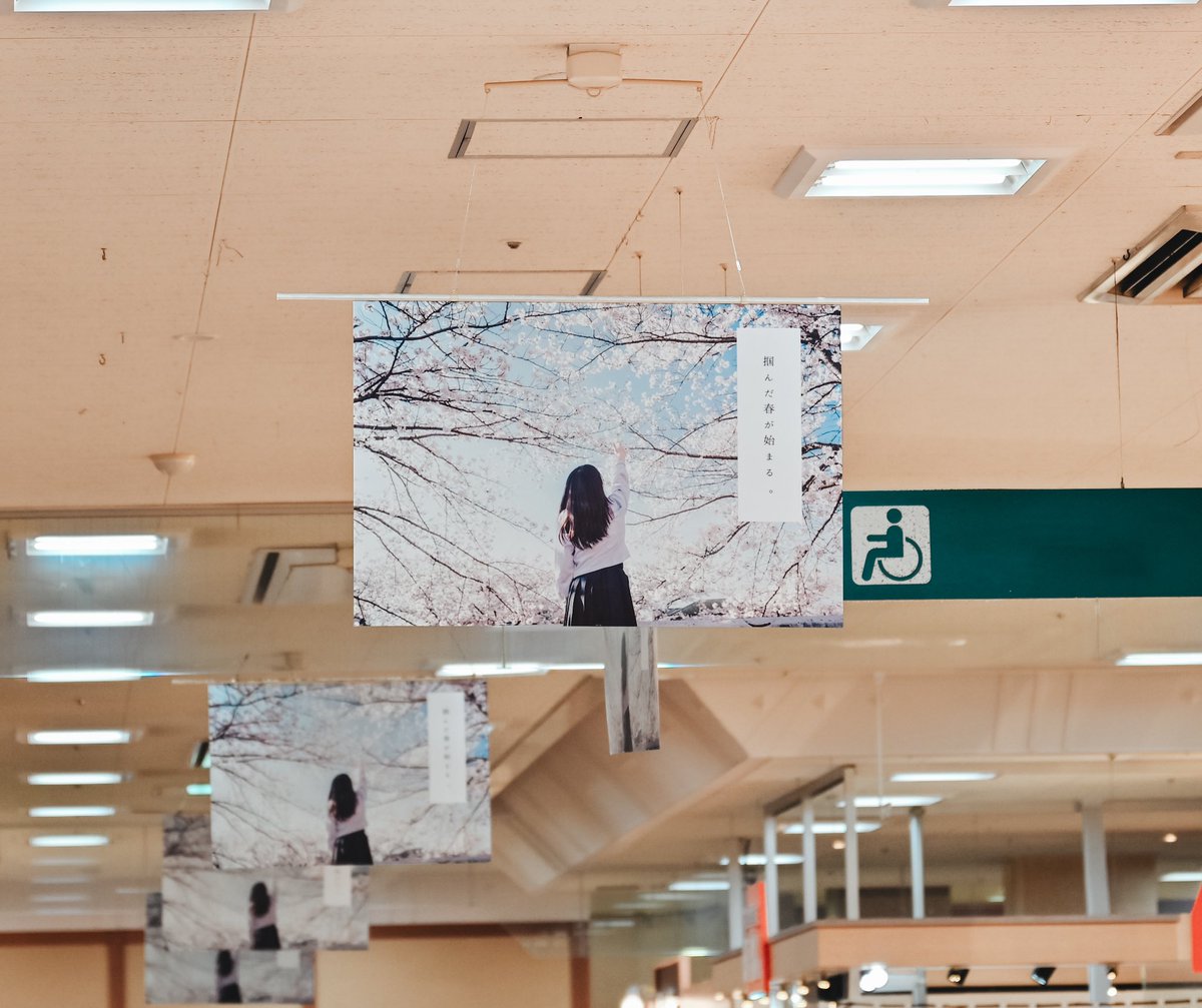 【お知らせ】 福井県最大のショッピングモール 「エルパ」にて私の写真が展示されています📸 その数なんと110枚！！ 4月1日から11日まで展示予定です。 ぜひ見つけたら「見たよ！」とインスタのストーリーに載せて教えていただけたら嬉しいです。 ぜひご覧ください！🦕