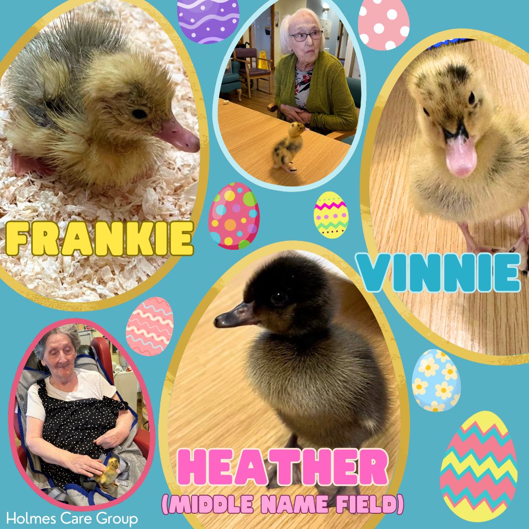 Heatherfield Care Home residents had a jam-packed Easter weekend! 👒💚 Heatherfield have also greatly enjoyed watching their newest residents (!) — Vinnie, Heather (Field), and Frankie — hatch and settle. They are all thriving and have their own personality! 🐣 #Easter2024
