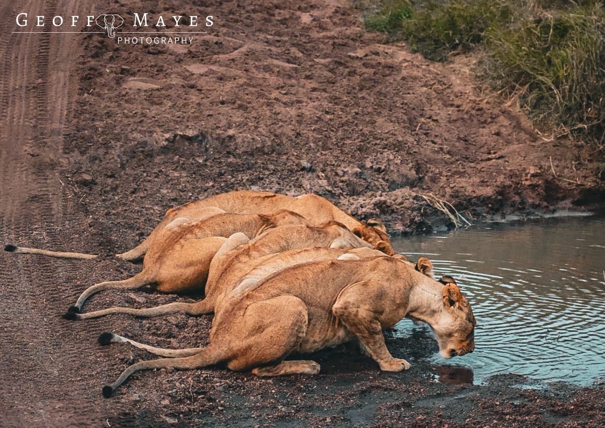 24 hours apart…… <a href="/OfficialWRC/">FIA World Rally Championship</a> <a href="/wrcsafarirally/">Safari Rally Kenya</a> <a href="/magicalkenya/">Kenya Tourism Board</a>