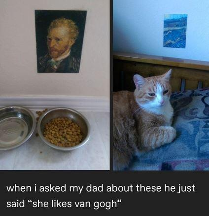 DontShowYourCat's tweet photo. https://t.co/hDEBwfRFA0