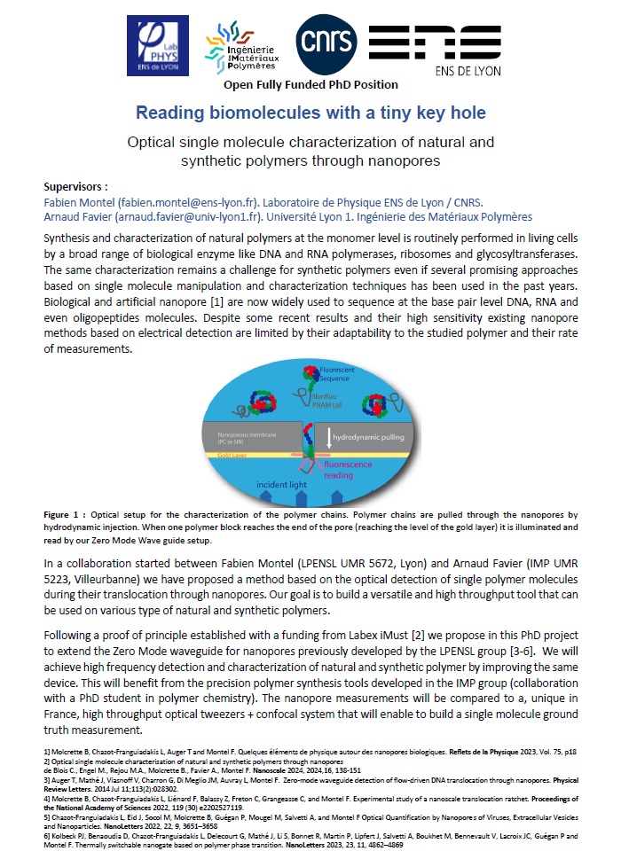 Open PhD position 👩‍🔬 👨‍🔬 : Reading biomolecules with a tiny key hole.🔬 We are looking for a candidate for a PhD project on biopolymer sequencing using nanopore optical reading system as well as a system combining optical tweezers, microfluidics and microscopy.