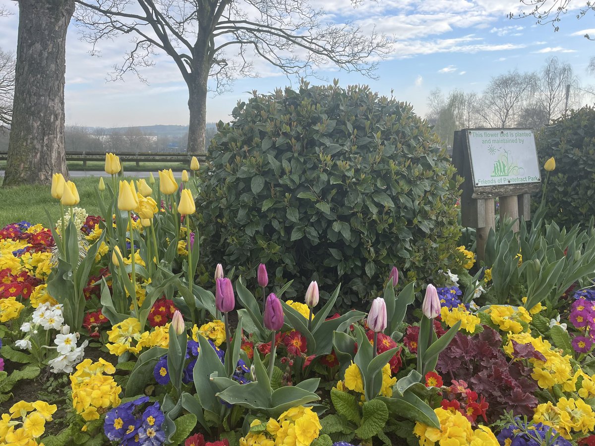 A colourful display to greet racegoers for the season opener @ponte_races in this lovely park setting #Pontefract