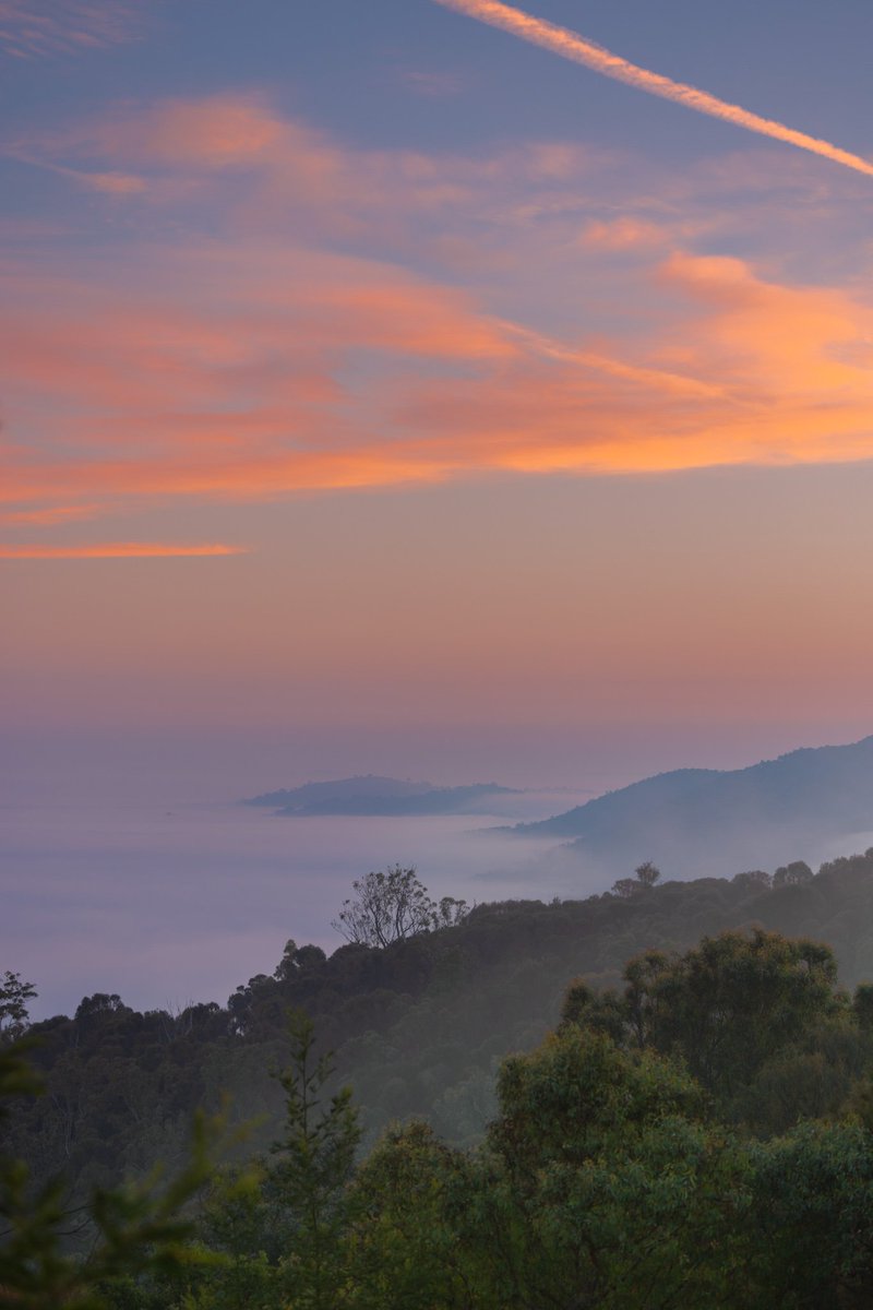 Saying goodbyes to Tuesday with yesterday's gorgeous sunrise. Good night. 🧡🩷💙 . . . #mountainslieregion #sunrise #foggysunrise #telstratower #layers #mountainslie #aboutyesterday #layers @Australia @visitcanberra