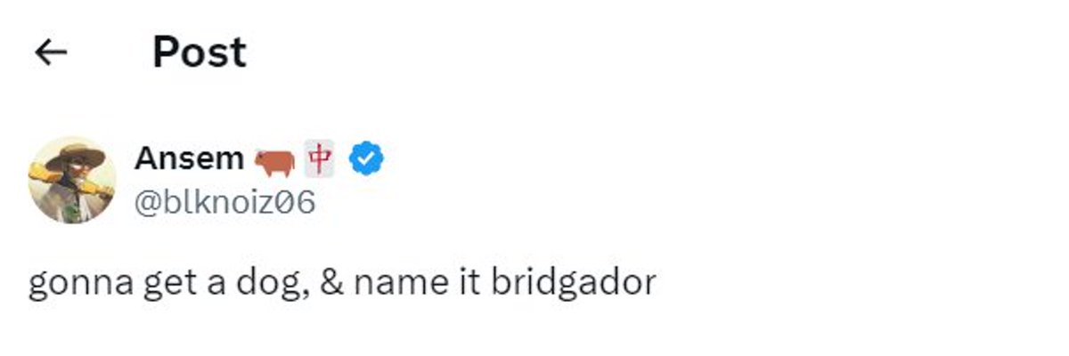 <a href="/blknoiz06/">Ansem</a> The Ticker is #BRIDGADOR <a href="/blknoiz06/">Ansem</a>