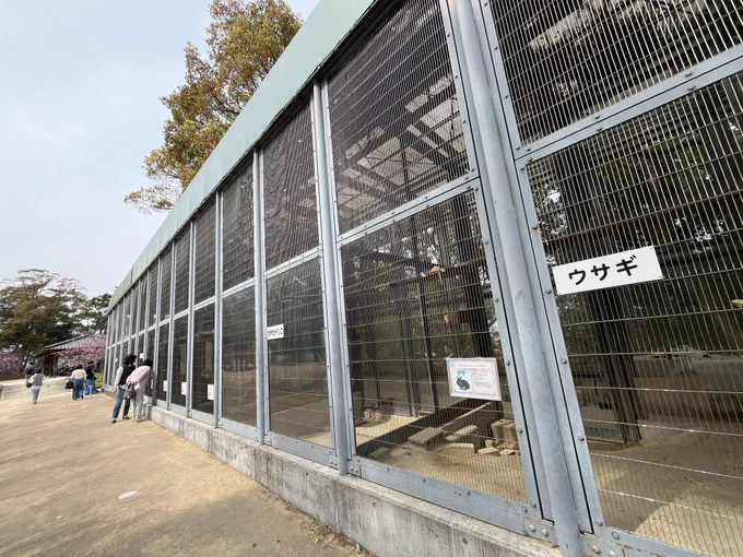専門学校の時の友達と集まって花見しにきました 