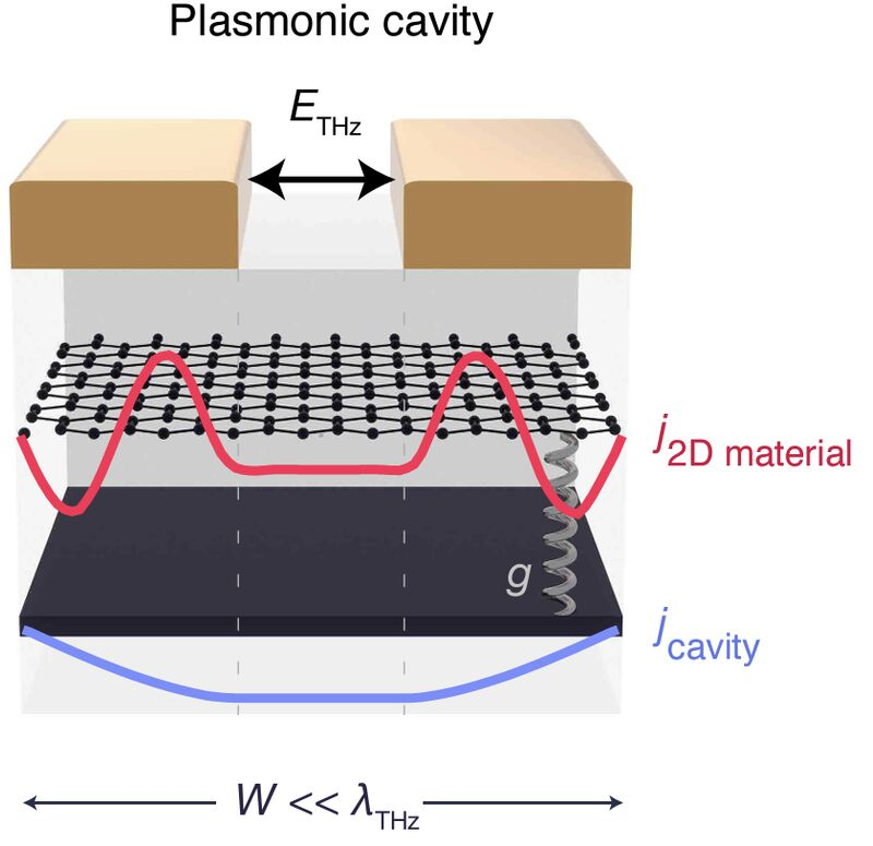 Very happy to share new research out of the McIver Lab at @MPSDHamburg. Plasmonic cavities with great potential for cavity electrodynamics of 2D van der Waals materials. Congrats to Gunda, Hope, James and the team. arxiv.org/abs/2403.19745