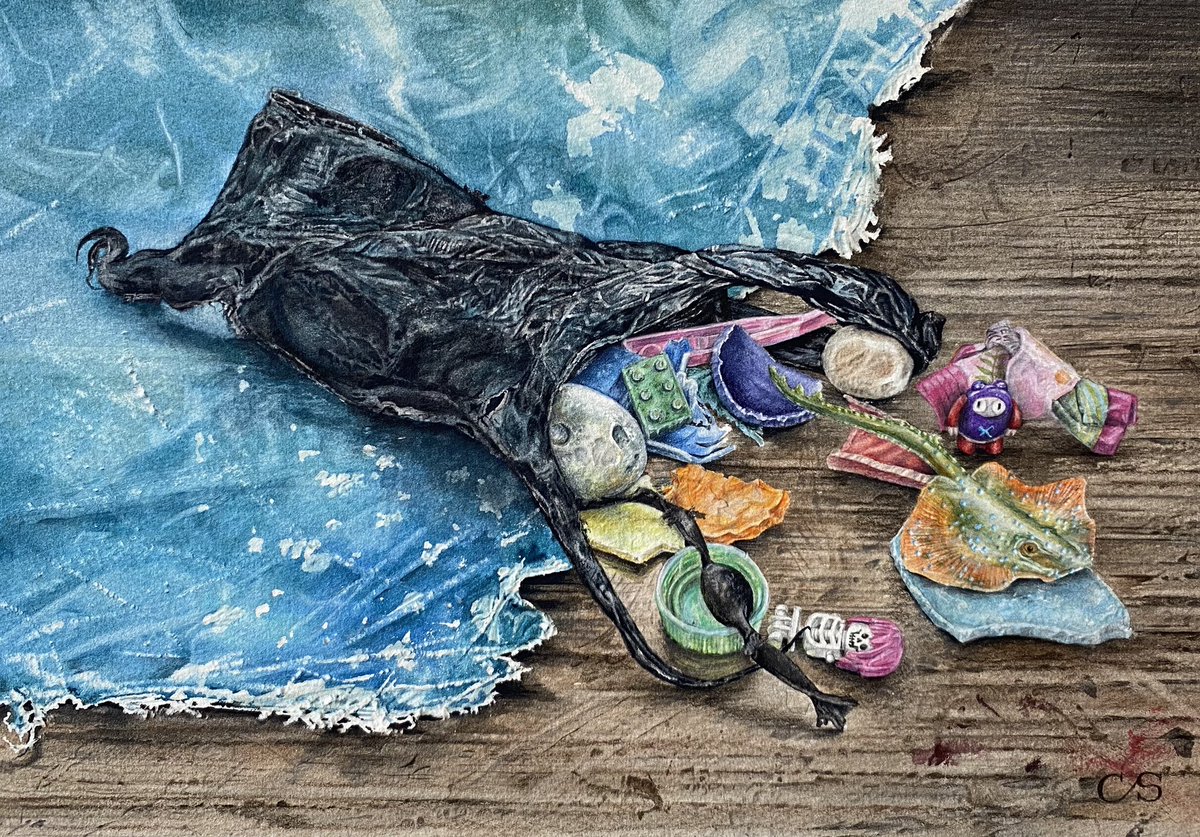 ‘Mermaid’s Purse’ #watercolour is 1 of 3 #paintings I’m currently #exhibiting in the 212th Annual #Exhibition of @RIwatercolours @mallgalleries until 13th April. You can browse & buy #artworks online at:- mallgalleries.org.uk #watercolourpainting #mermaidspurse #clairesparkes