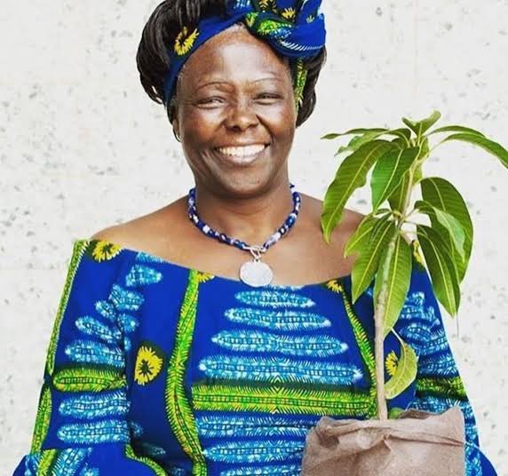 As we celebrate #WangariMarhai birthday, I'm reminded of how reading about her journey deeply inspired me, even though we never crossed paths. Her commitment to planting trees and protecting the environment encouraged me to be more proactive in my efforts. Happy birthday hero.🥳