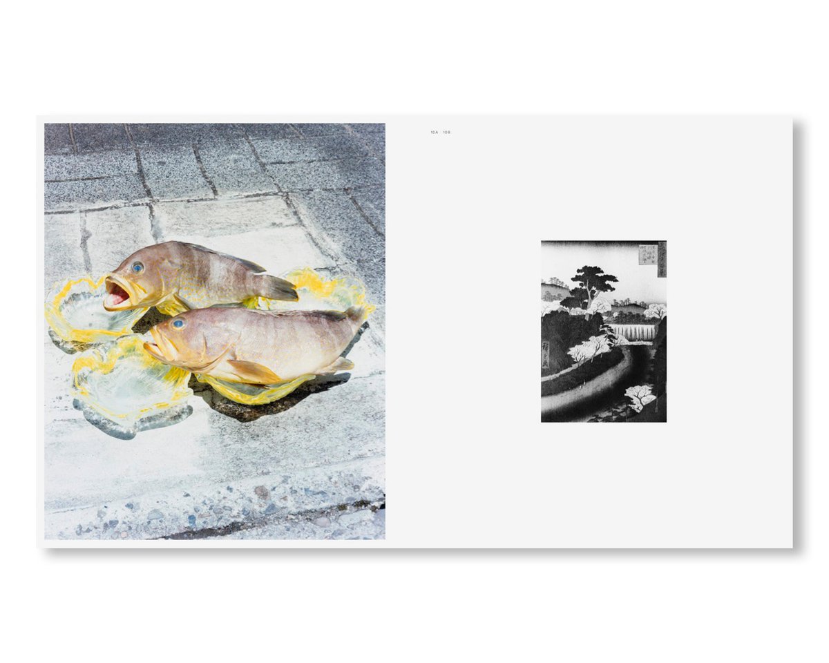 <a href="/NaohiroArtworks/">Naohiro Harada Arts & Entertainment Works.</a> <a href="/ZenFotoGallery/">Zen Foto Gallery</a> 写真集「TOKYO FISHGRAPHS | 2020」は会場でご購入いただけます。詳細はこちら。
twelve-books.com/products/tokyo…
<a href="/NaohiroArtworks/">Naohiro Harada Arts & Entertainment Works.</a>