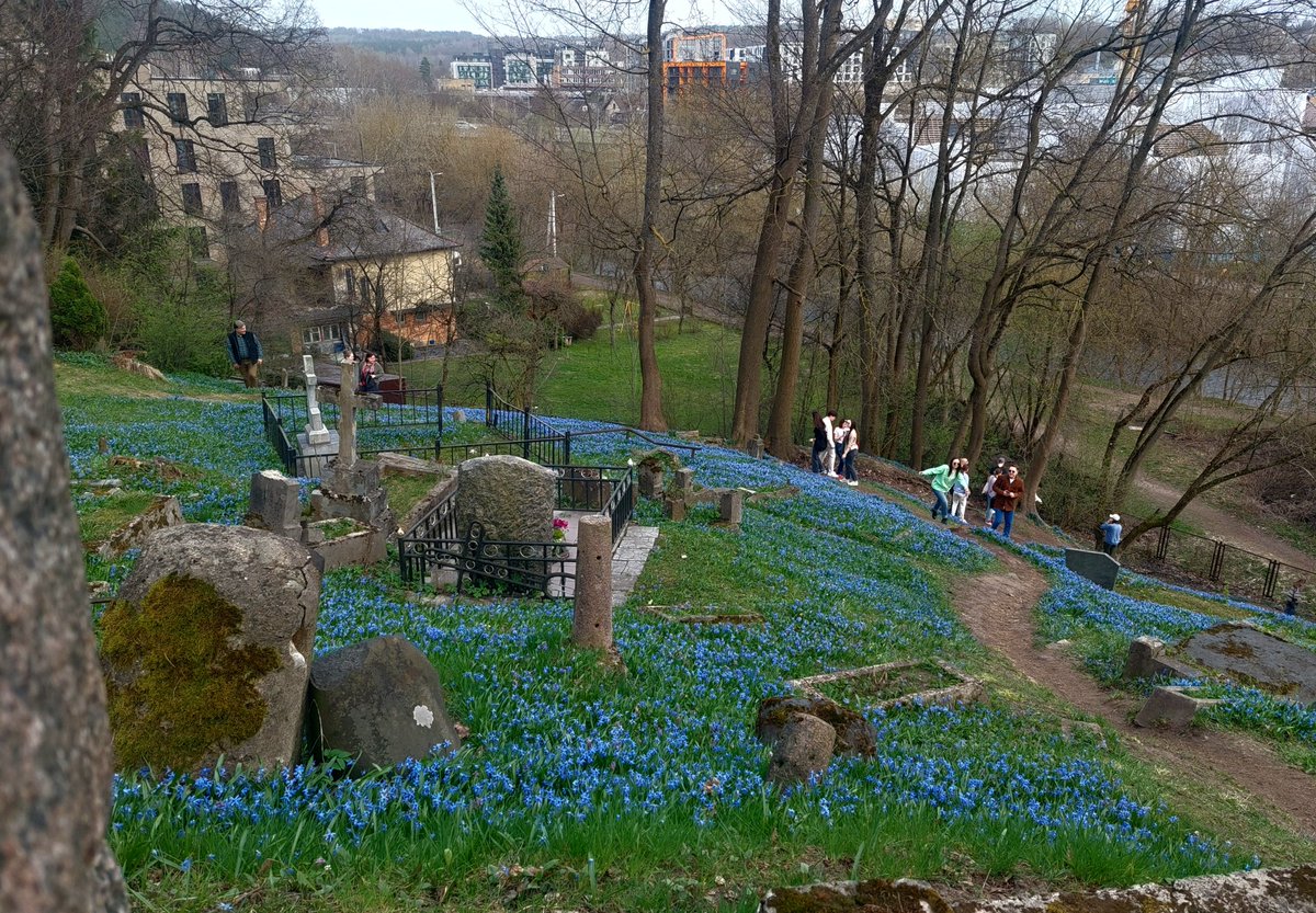 Diana Mickeviciene tweet media