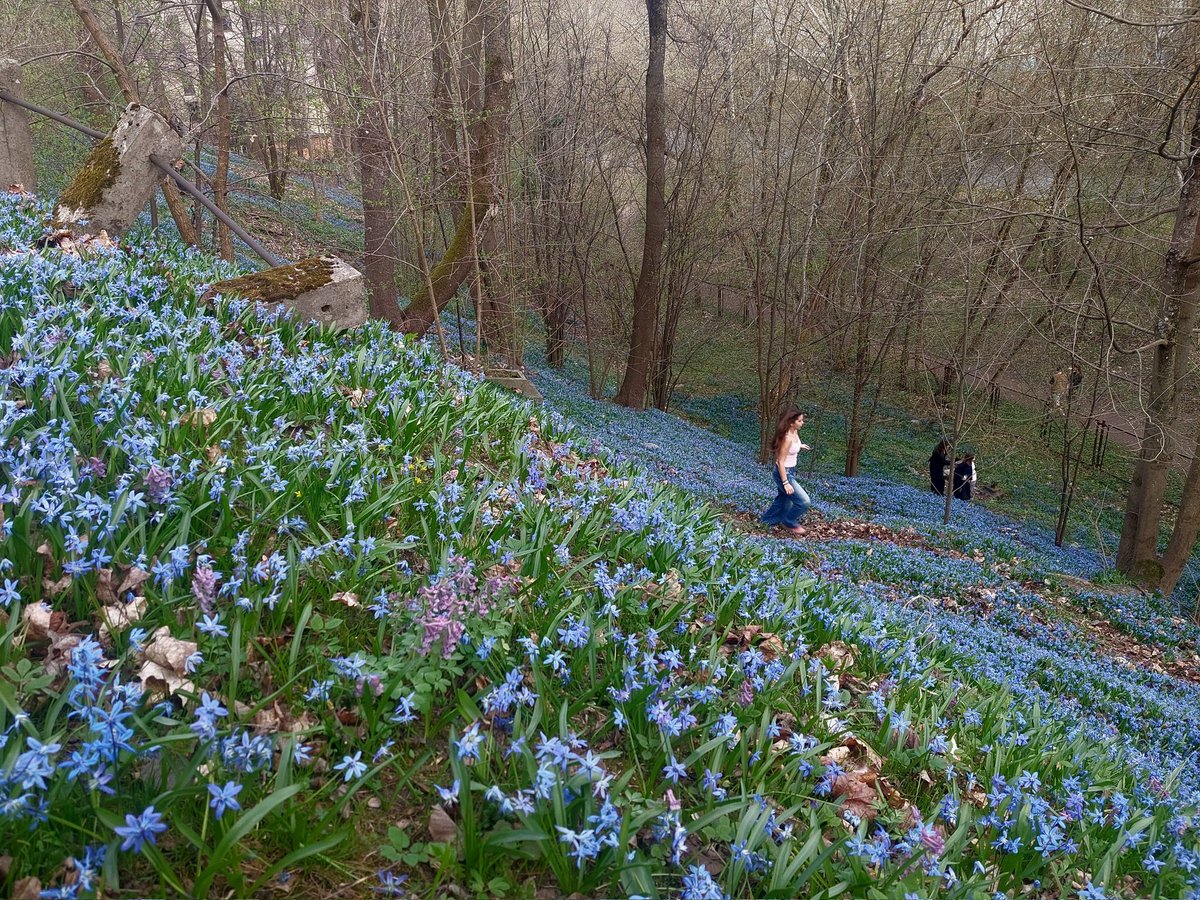 Diana Mickeviciene tweet media