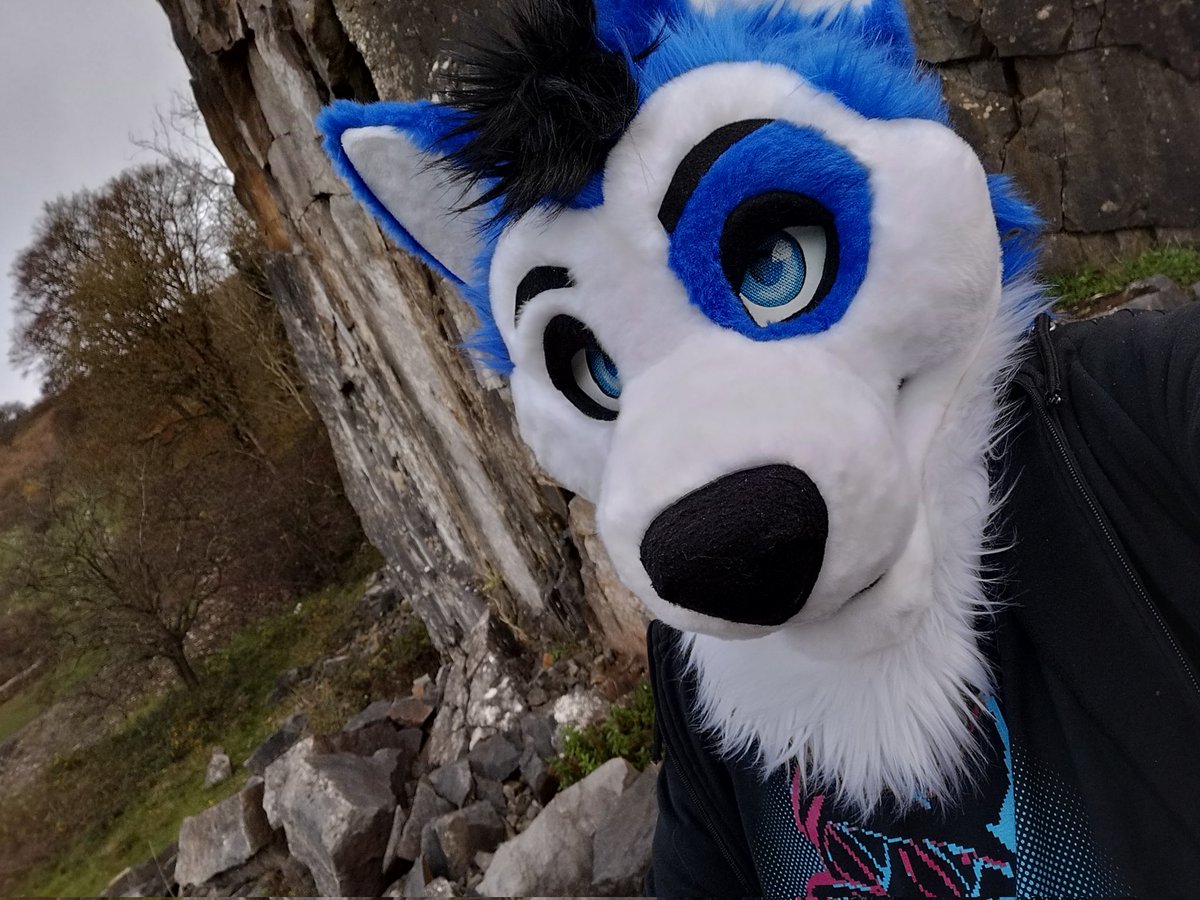 rico_husky's tweet photo. Blue eyes you say 

QRT with those beautiful blue eyes https://t.co/af17im1Tuv