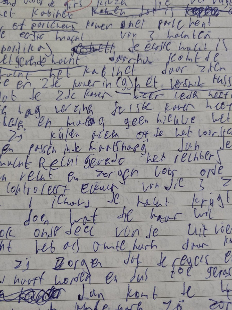 anneke meijering. tweet media