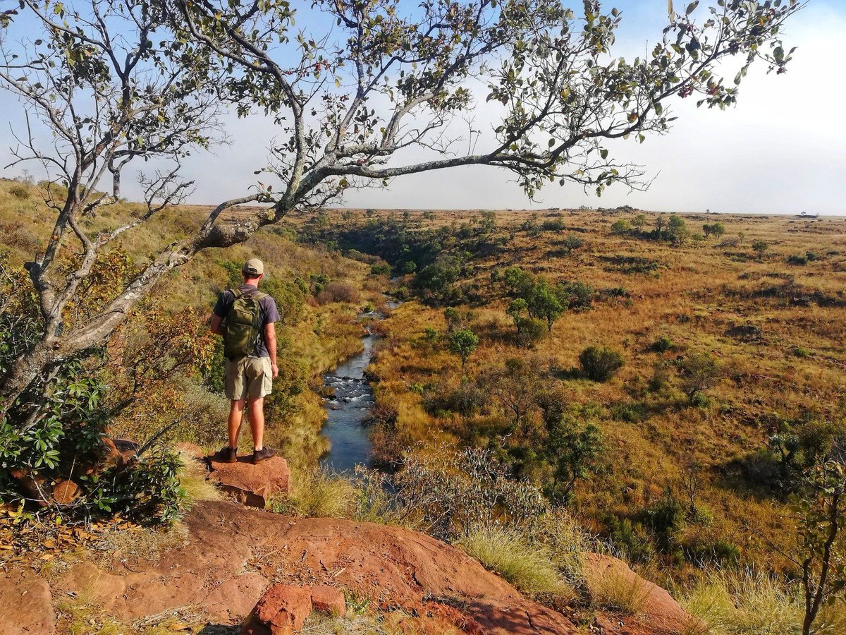 Hiking in and around Joburg – Gauteng's best hiking trails buff.ly/3uUUnvw #hiking #gauteng #joburg via @JohannesburgIYP