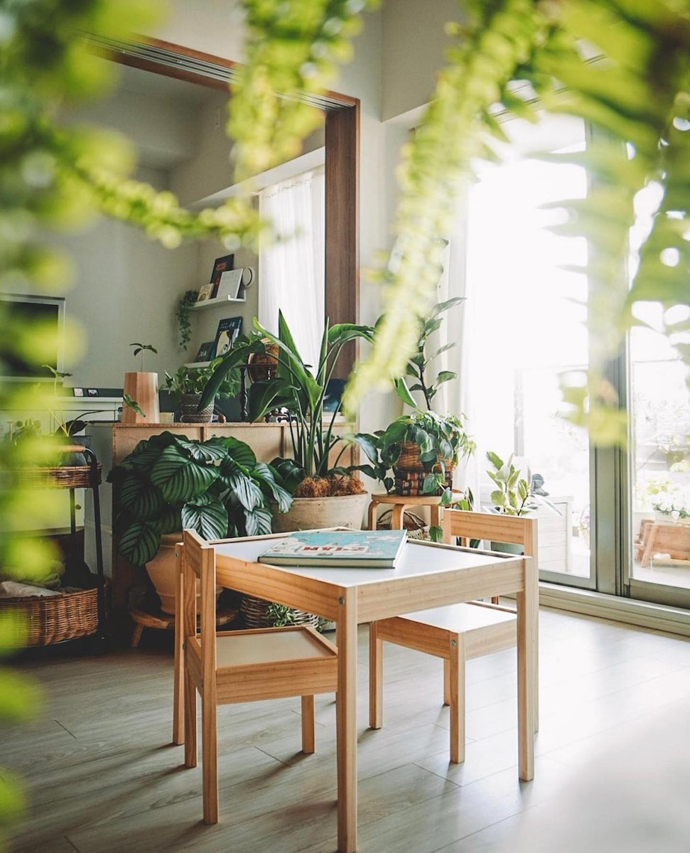 tugrulhan42's tweet image. Transform unused corners or alcoves into verdant retreats with small trees or shrubs that add greenery and dimension to overlooked spaces. #verdantretreat #unusedspaces