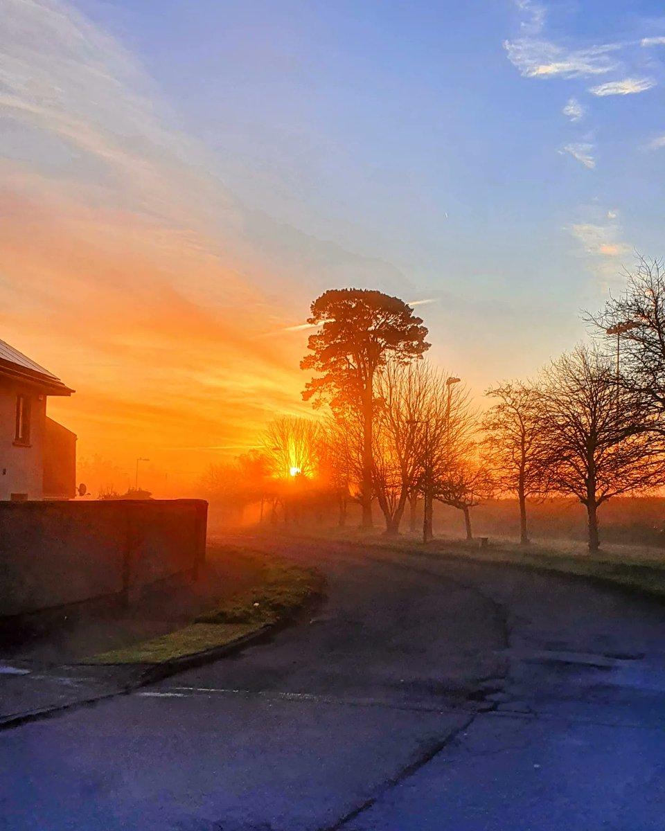 A burnt orange sunrise hitting the early morning April fog is a fantastic combination 🌄🌫️📷 #sunrise #photography