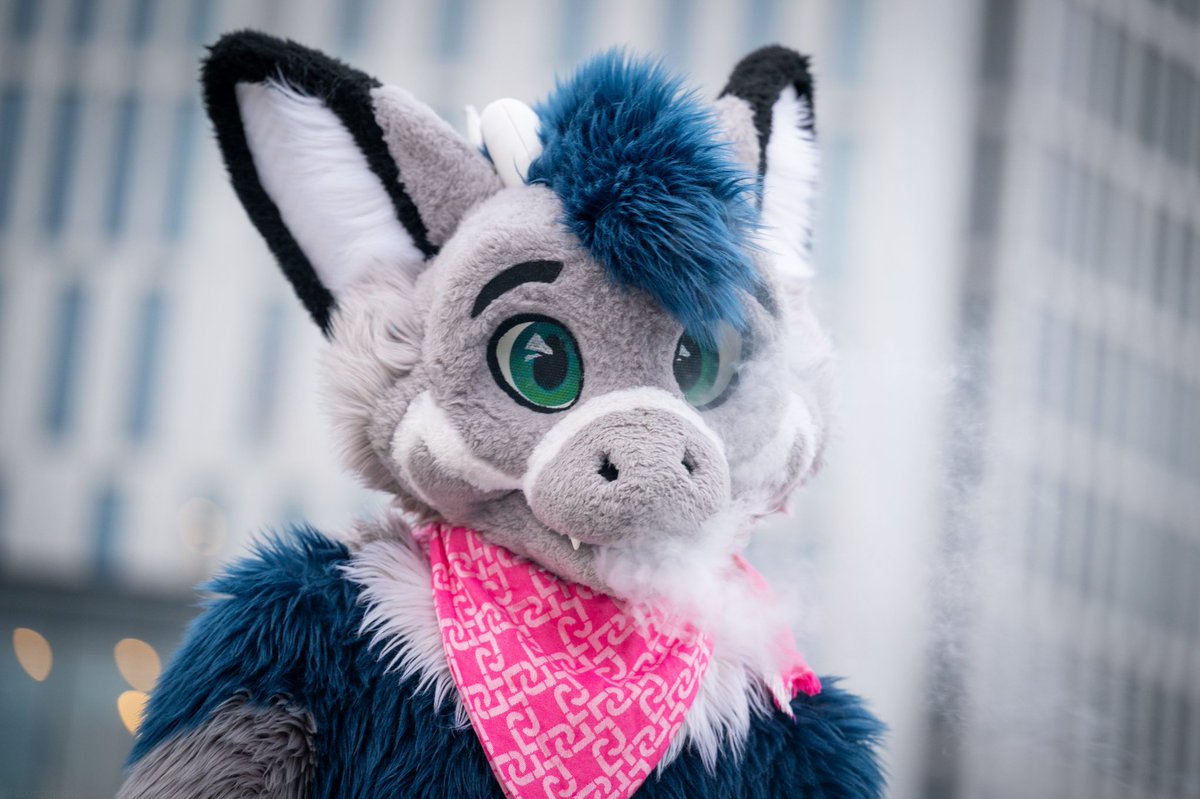 QRT with your Green/Blue(uhm guess both) eye Fursuit! 📸: @Fusselgenerator 💞
