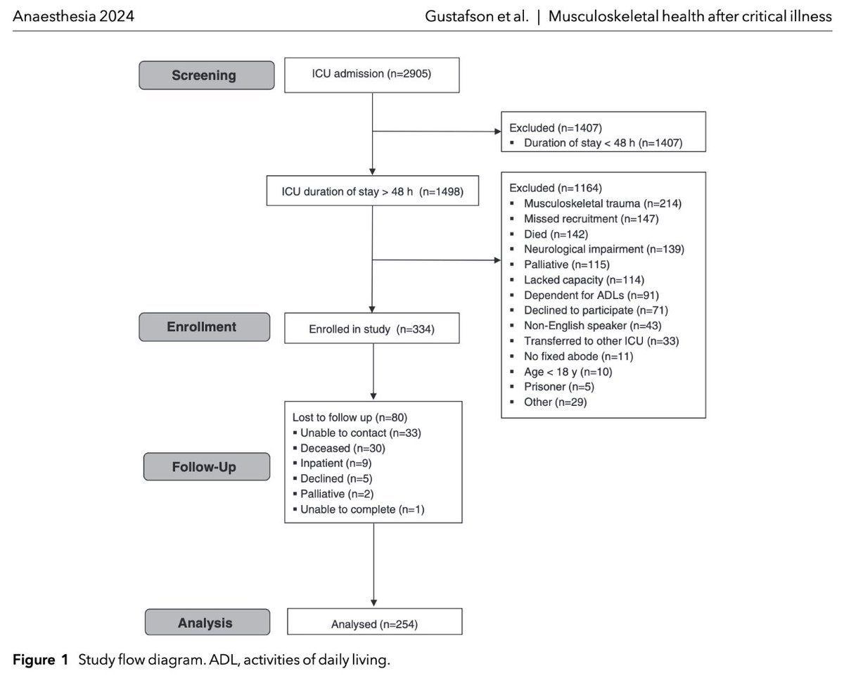 🔓Curious about musculoskeletal health state post-ICU? ➡️59% had an MSK problem ➡️<25% received physical rehabilitation @OxfordICUPhysio @LizKing2510 @m_schlussel @amythephysio @2_carlashaw @PhysioPhil2 @matthewjrowland @helendawes2 @mawilliamsinOx 🔗…-publications.onlinelibrary.wiley.com/doi/10.1111/an…