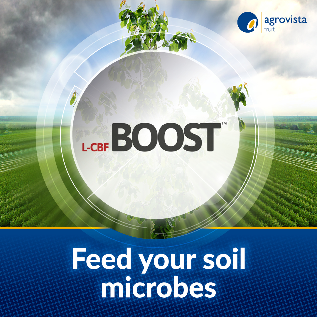 AgrovistaFruit's tweet photo. L-CBF Boost is an ideal food source for soil microbes and fungi following a prolonged wet autumn and winter.
#PowerUp for spring.
For more information speak to our fruit team.
@qlfuk #TopFruit https://t.co/lguvzhygvf