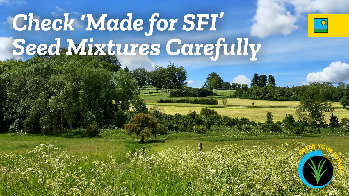 SFI Mixtures at Barenbrug UK We are dedicated to providing you with the best technical advice on how to meet the new guidelines for relevant programs in the Sustainable Farming Initiative.🚜 Our carefully selected SFI Herbal Ley mixtures are SAM3 compatible with current…
