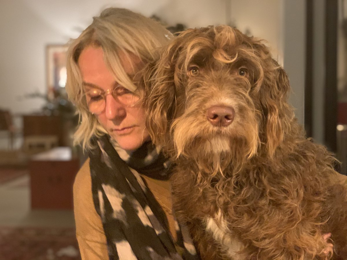 rokus loopik tweet media