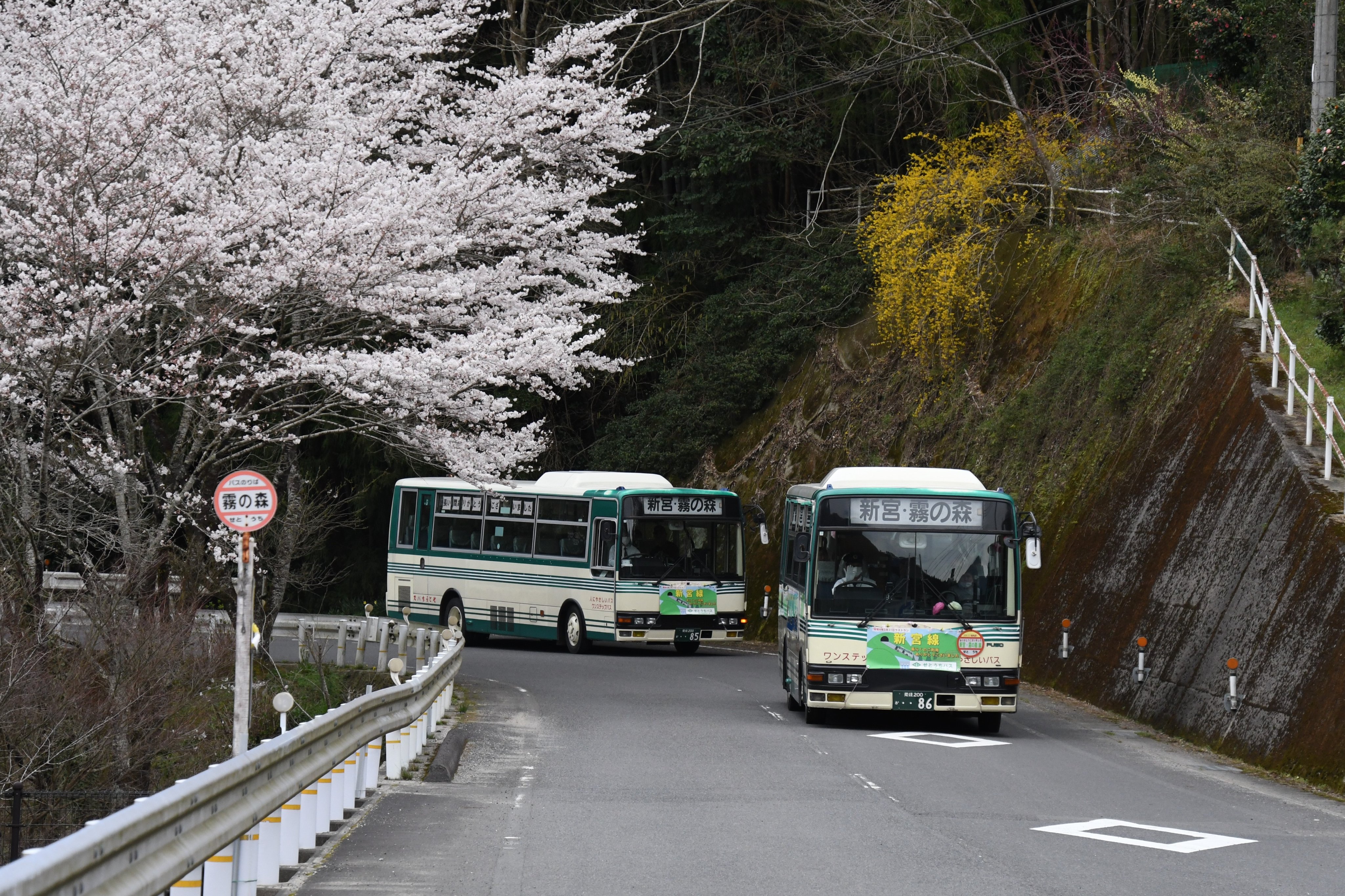 瀬戸 来春就航いたします瀬戸内海汽船の新造リニアジェットの船名が