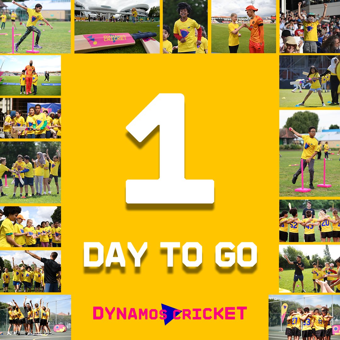 The final countdown is ON! One more day until we launch the Dynamos priority window for 2024 🤯 Be a part of it by signing up now! ⬇️ ms.spr.ly/6017csfiz