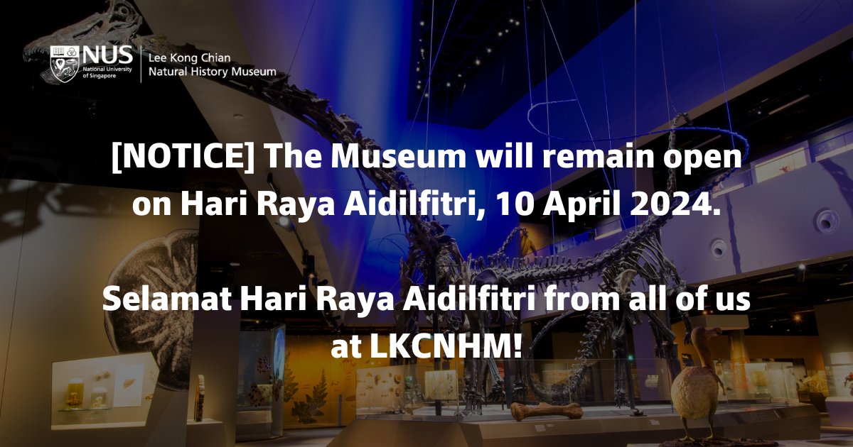 Lee Kong Chian Natural History Museum (@lkcnhm) on Twitter photo 2024-04-05 10:00:02