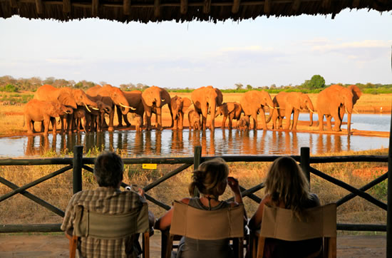 AlphadeanS's tweet photo. Tsavo East is known for its vast open savannahs, diverse wildlife, and stunning landscapes.#TsavoEast #SafariAdventure #WildlifeEncounters #ExploreKenya #AfricanSafari #BigFiveSafari #TravelGoals #SafariExperience #TravelAfrica #WildlifeConservation #AdventureTravel https://t.co/wLdyuGVWjj