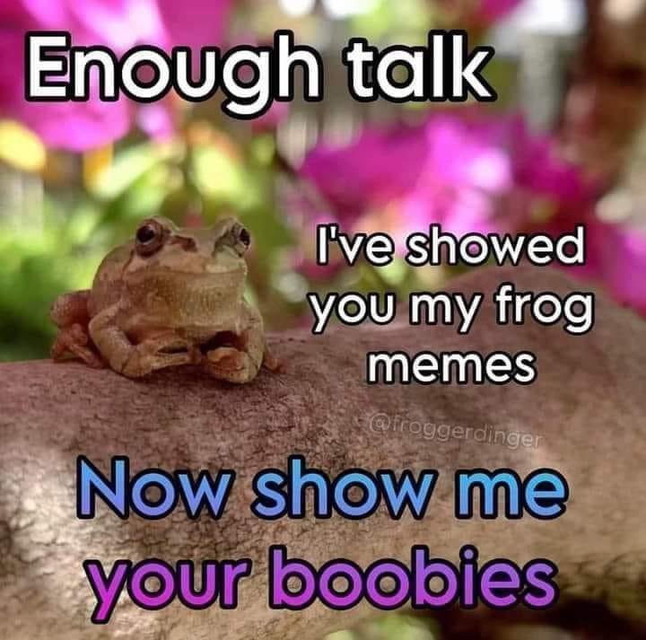 Froge ™ Finance Official tweet media