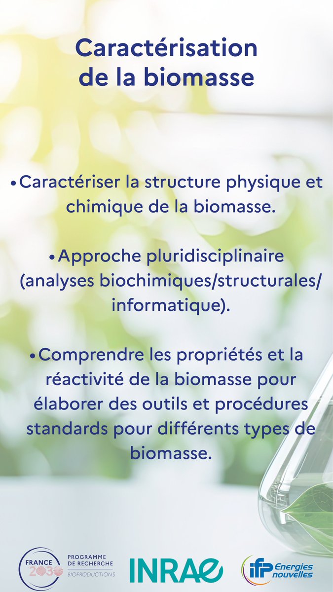 🧐La caractérisation de la biomasse ?

Malgré ses avantages chimiques et structurels, la biomasse est une ressource difficile  à valoriser à l’échelle industrielle.

Cet axe de recherche abrite le projet FillingGaps qui étudie les propriétés de la biomasse à toutes les échelles.