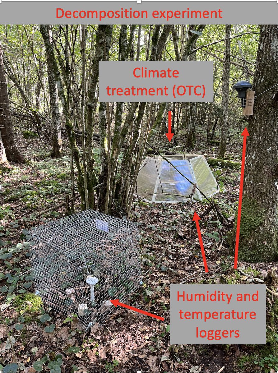 Kadri Runnel tweet media