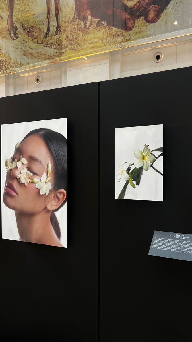 Hello April - A new month to check this out!

Nadine Lustre x FACES AND FLORA
A Philippines Native Plant Photograpy Exhibit
Tuesdays to Sundays only | 9am-6pm thru May 31
National Museum of Natural History
Free Admission

#FacesAndFlora #NationalMuseumPH 
#NAM2024 
#NadineLustre