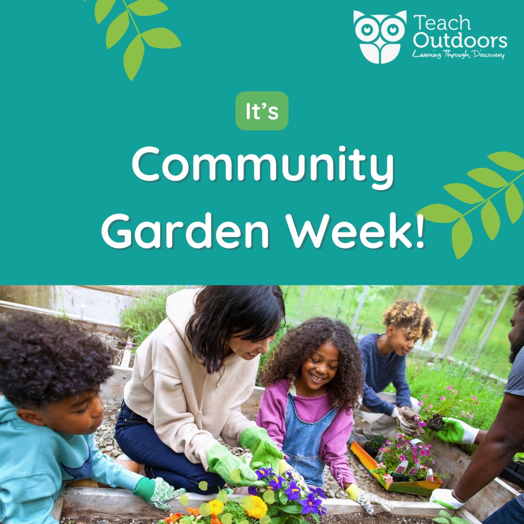 Community garden week 2024 celebrates the amazing community and school gardens across the UK and is taking place this week! Will you be thinking about your school gardens this week?