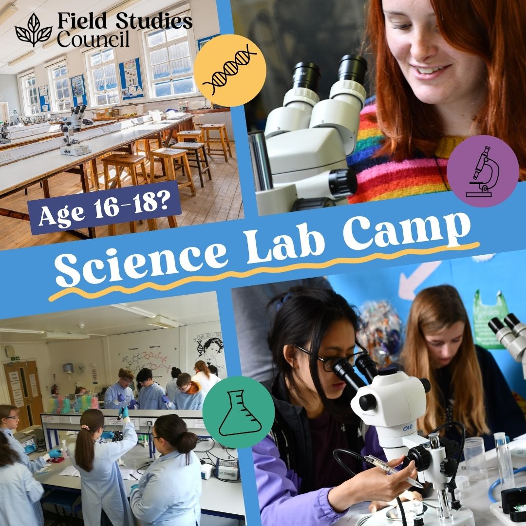 New Dates for Youth Residentials! 🎉 Science Lab Camp 🥼⚗️ 📅28th Oct - 1st Nov Lakes and Literature Residential ⛰️📚 📅28th Oct - 1st Nov ⭐Suitable for 16 - 18 year olds 🏆Eligable forgold @DofE 👉ow.ly/ArXw50R2lKr #DukeOfEdinburgh #DofE #Residential #YoungPeople