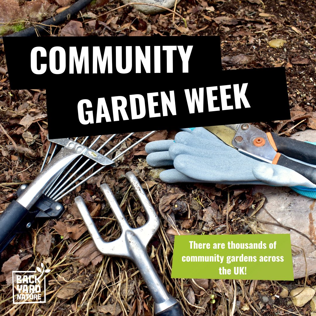 #CommunityGardenWeek has arrived! We’ve been REALLY inspired by Rudyard Road in Sheffield: A wasteland that is now a wildlife &amp; people friendly community garden! 🌿
If you’re ready to spend time in your patch, check out this gardening calendar &amp; get muddy! bit.ly/3VUMilR
