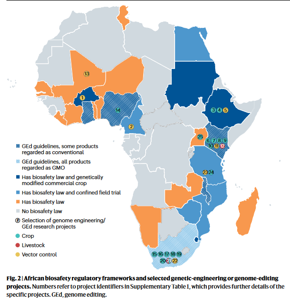 🎉 Exciting news! Our Genome Editing Coordinator, Dr. Thomas Auer (@tomtom_auer), has co-authored a transformative paper on #GenomeEditing in Africa. Let's make it a success story! 
bit.ly/3xaufNV
🌍 #GEd #ScienceInAfrica