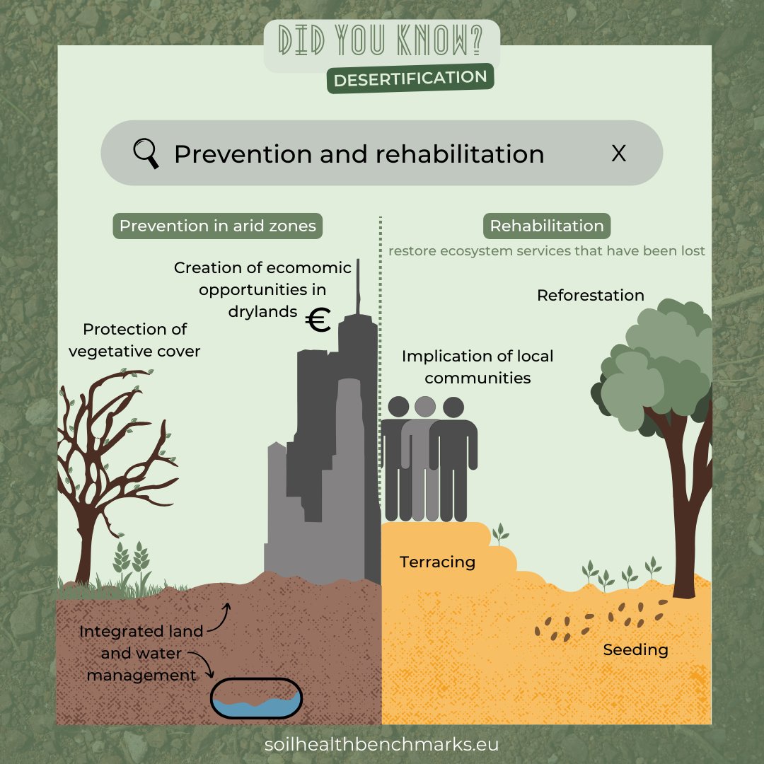 🤔 Ever heard of #desertification❔ It's land degradation in arid areas due to climate and human activities. Soil health declines, vegetation cover reduces, causing environmental and socio-economic issues. #SoilHealthBENCHMARKS #BENCHMARKS #Soilhealth #sustainable #environment